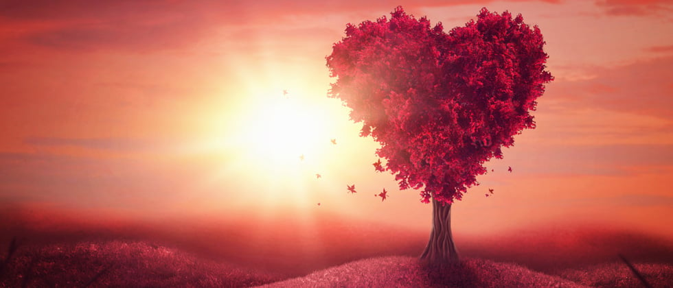 A red tree shaped like a heart standing alone with a pink sky background