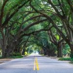 Panorama to illustrate dating in aiken