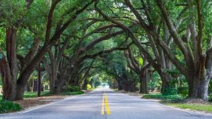 Panorama to illustrate dating in aiken