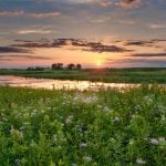 Panorama to illustrate dating in mcHenry