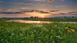 Panorama to illustrate dating in mcHenry