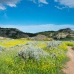 Panorama to illustrate dating in minot