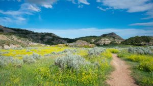 Panorama to illustrate dating in minot