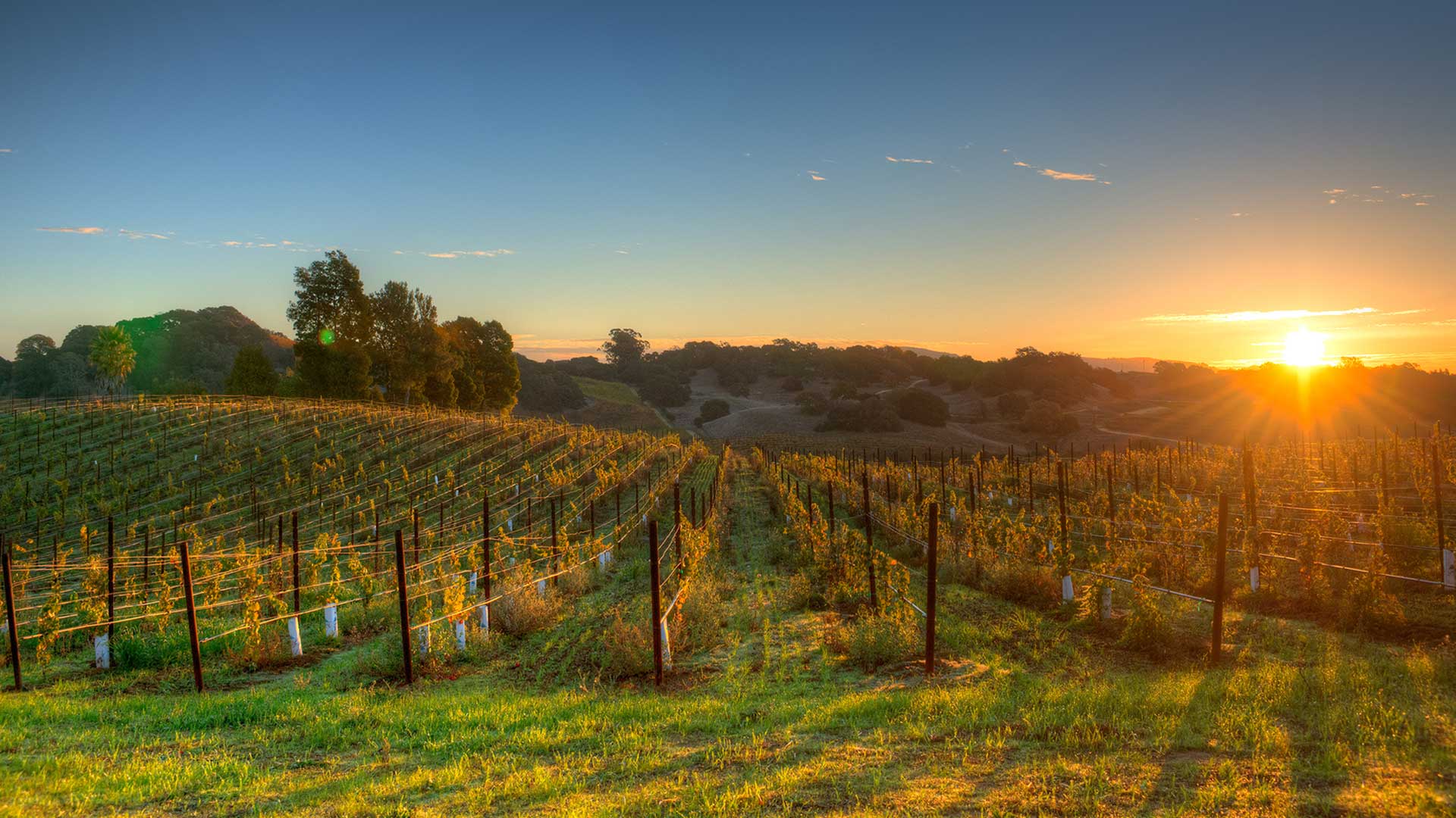 Panorama to illustrate dating in napa