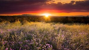 Panorama to illustrate dating in new mexico