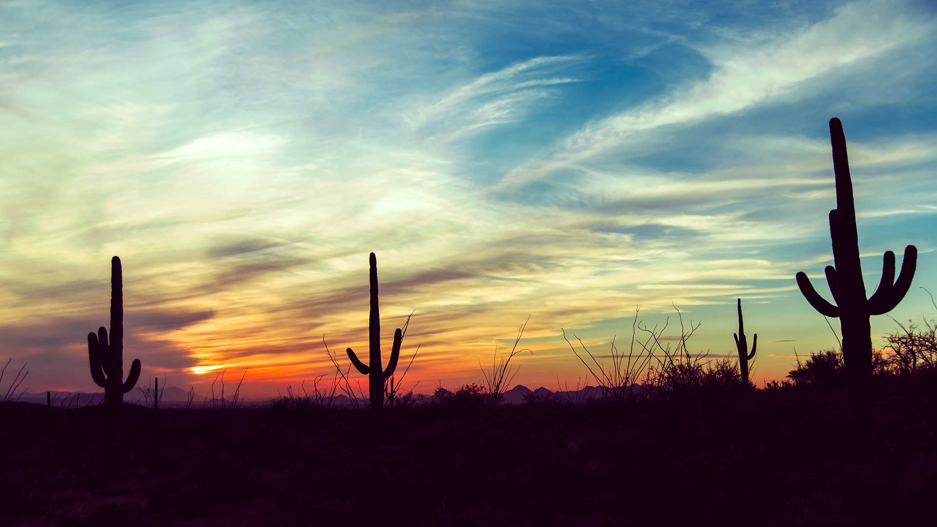 Panorama to illustrate dating in nogales