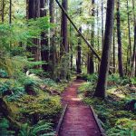 Panorama to illustrate dating in roseburg