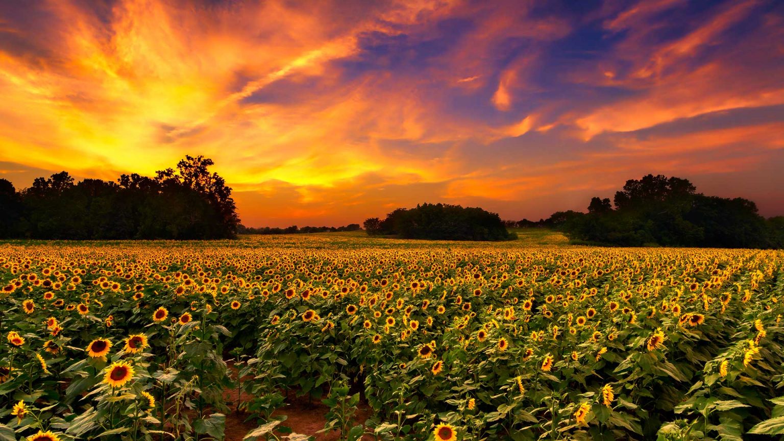 Topeka Dating eharmony Singles in Topeka, KS