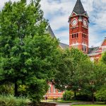 Panorama to illustrate dating in auburn