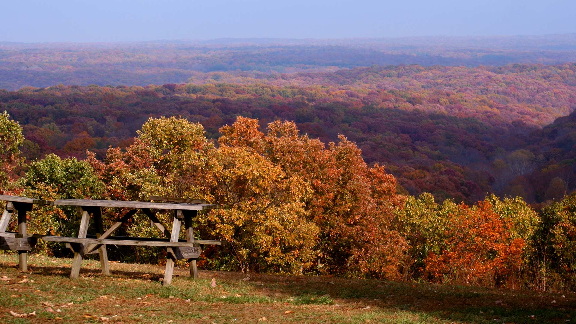Panorama to illustrate dating in bloomington
