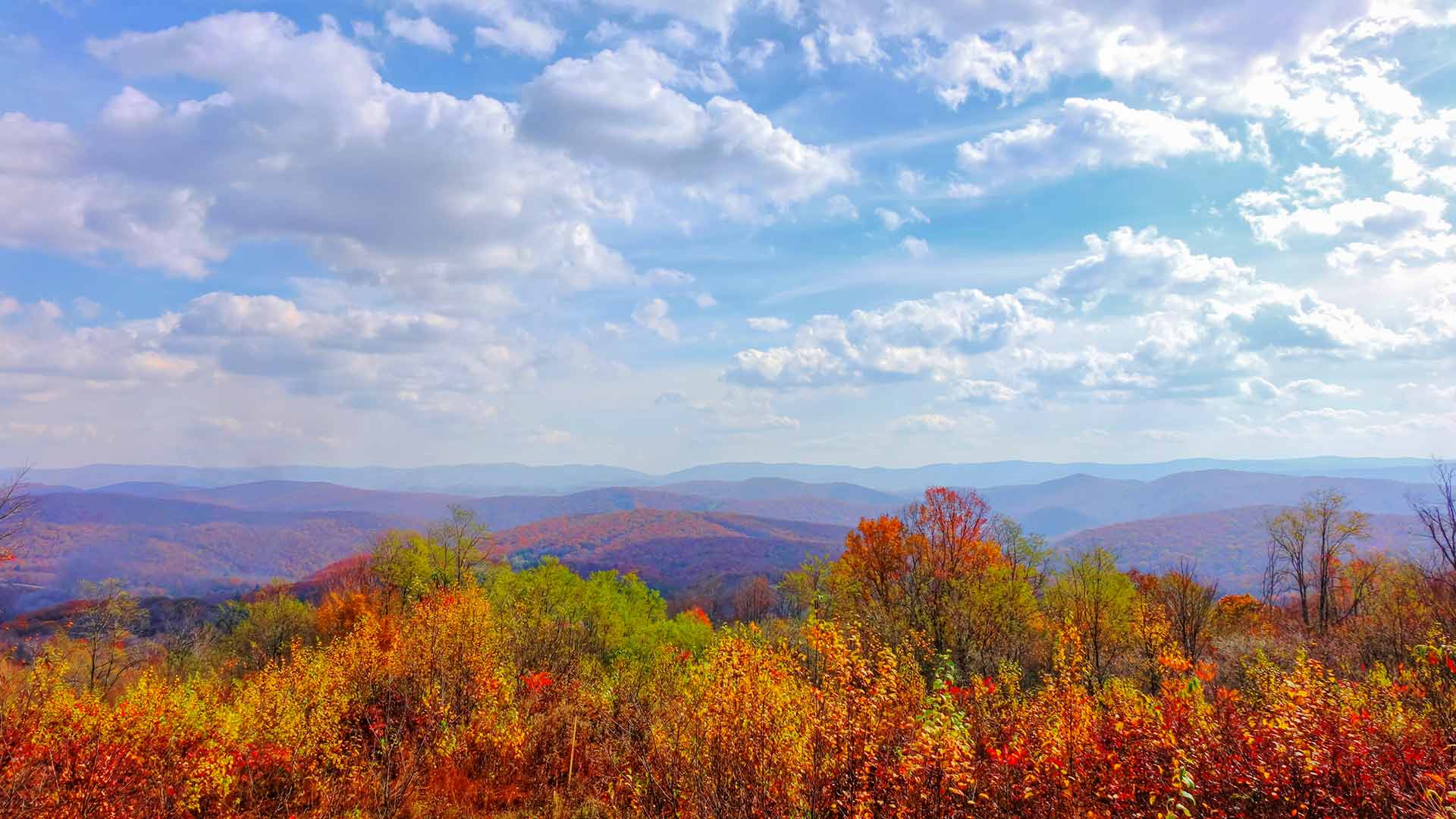 Panorama to illustrate dating in bluefield