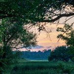 Panorama to illustrate dating in downers grove