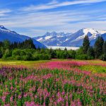 Panorama to illustrate dating in juneau