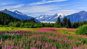 Panorama to illustrate dating in juneau