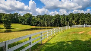 Panorama to illustrate dating in newnan