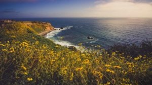 Panorama to illustrate dating in rancho palos verdes