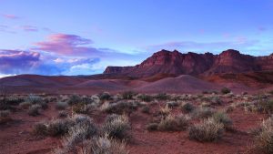 Panorama to illustrate dating in st george