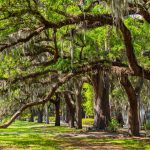 Panorama to illustrate dating in statesboro